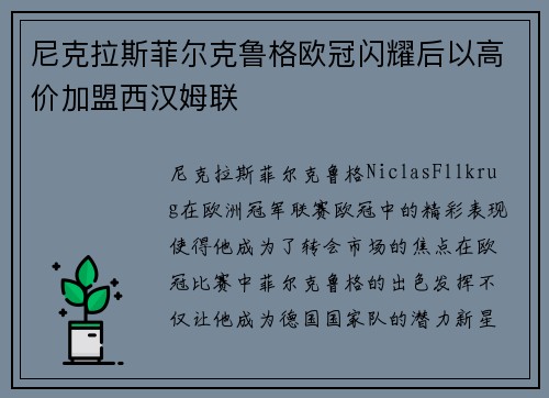 尼克拉斯菲尔克鲁格欧冠闪耀后以高价加盟西汉姆联